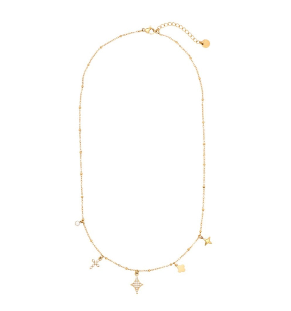 Delicate Charms Necklace